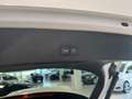 Audi Q2 1.4TFSI 2x S Line AHK KAM LED B&O AMBI VC NAV Weiß - thumbnail 11