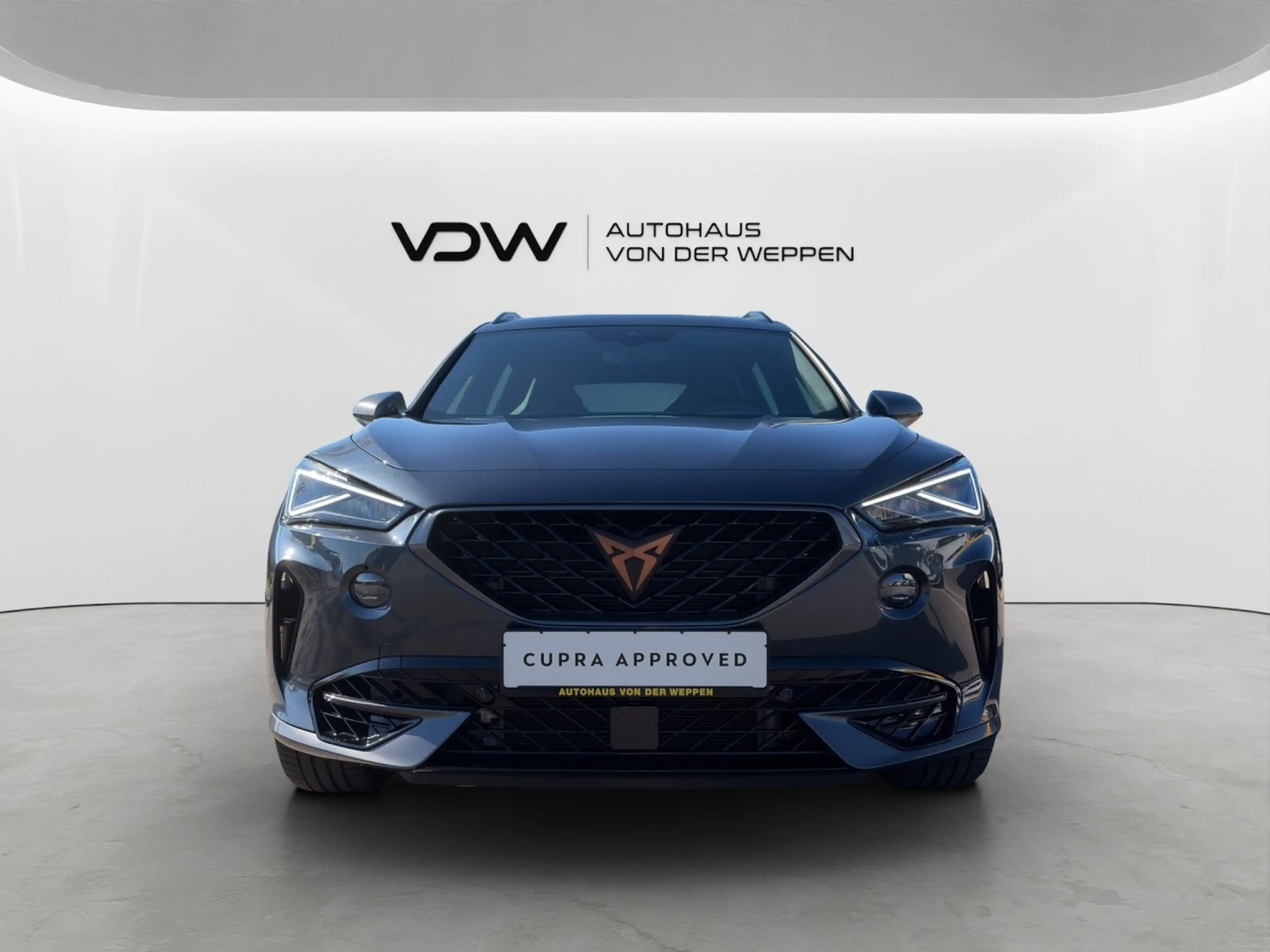 CUPRA Formentor TSI DSG VZ 4Drive 5JGar Kamera ACC SHZ — photo 2