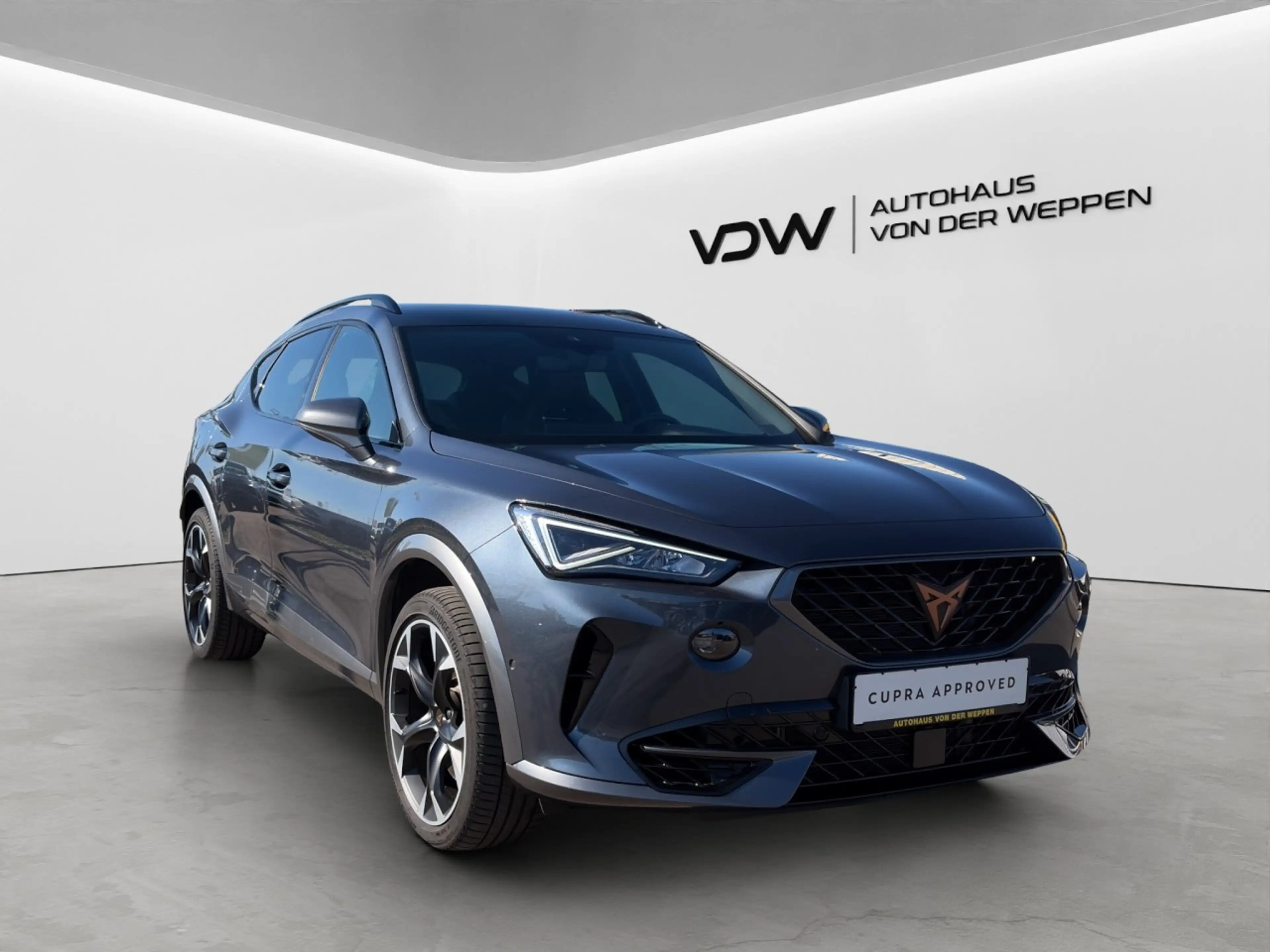 CUPRA Formentor TSI DSG VZ 4Drive 5JGar Kamera ACC SHZ — photo 7
