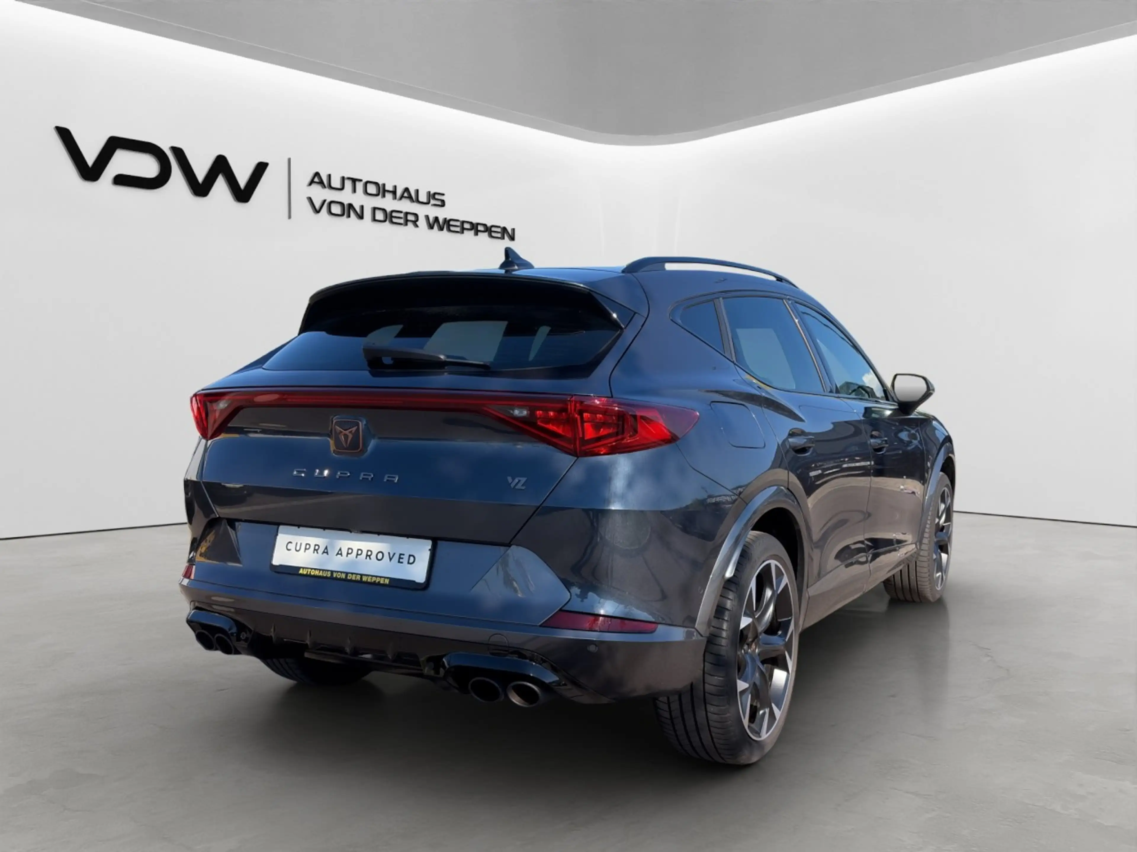 CUPRA Formentor TSI DSG VZ 4Drive 5JGar Kamera ACC SHZ — photo 9