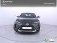 Lexus UX 300h 2.0 Plus Vert - thumbnail 6