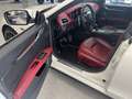 Maserati Ghibli Ghibli 3.0 V6 ds 250cv auto EURO 6 Blanc - thumbnail 10