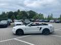 Ford Mustang 2014  V6 Premium mit Pony Paket Lagerwagen Weiß - thumbnail 5