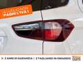 Ford EcoSport 1.0 ecoboost st-line s&s 125cv my20.25 Alb - thumbnail 17
