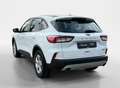 Ford Kuga 2.5 PHEV Trend I Navi I Carplay I Keyless Blanc - thumbnail 5