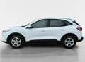 Ford Kuga 2.5 PHEV Trend I Navi I Carplay I Keyless Blanc - thumbnail 9