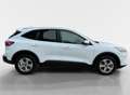 Ford Kuga 2.5 PHEV Trend I Navi I Carplay I Keyless Blanc - thumbnail 6