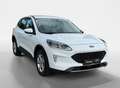 Ford Kuga 2.5 PHEV Trend I Navi I Carplay I Keyless Blanc - thumbnail 2