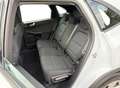 Ford Kuga 2.5 PHEV Trend I Navi I Carplay I Keyless Blanc - thumbnail 32