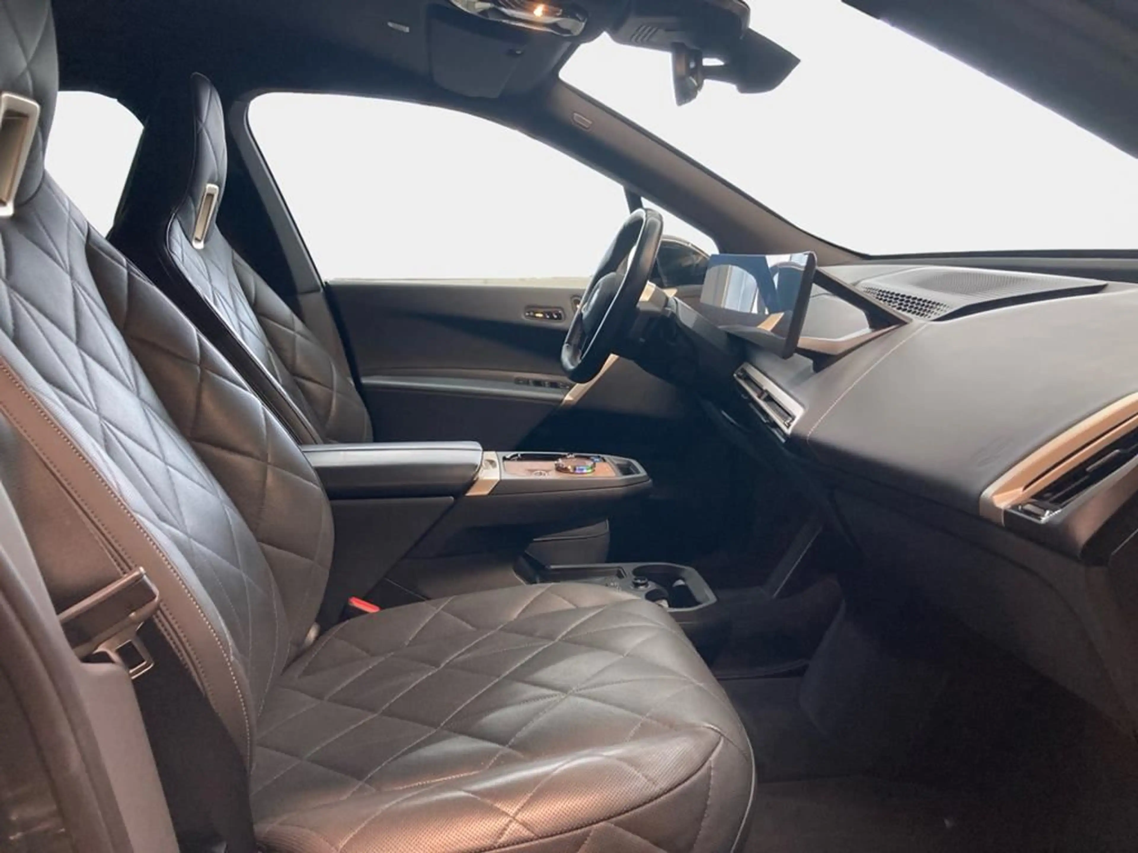 BMW iX Sportpaket — photo 15