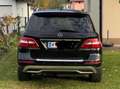 Mercedes-Benz ML 250 ML 250 BlueTEC 4MATIC Aut. DPF Schwarz - thumbnail 2