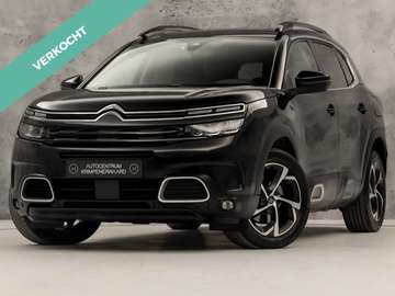 1.6 Plug-in Hybrid 225 Shine 225Pk Automaat (APPLE