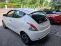 Lancia Ypsilon Ypsilon III 2015 1.2 Gold s Bianco - thumbnail 3