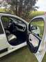 Fiat Panda Scheckheft, Diesel, Top gepflegt, AHK Weiß - thumbnail 6