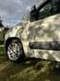 Fiat Panda Scheckheft, Diesel, Top gepflegt, AHK Weiß - thumbnail 14