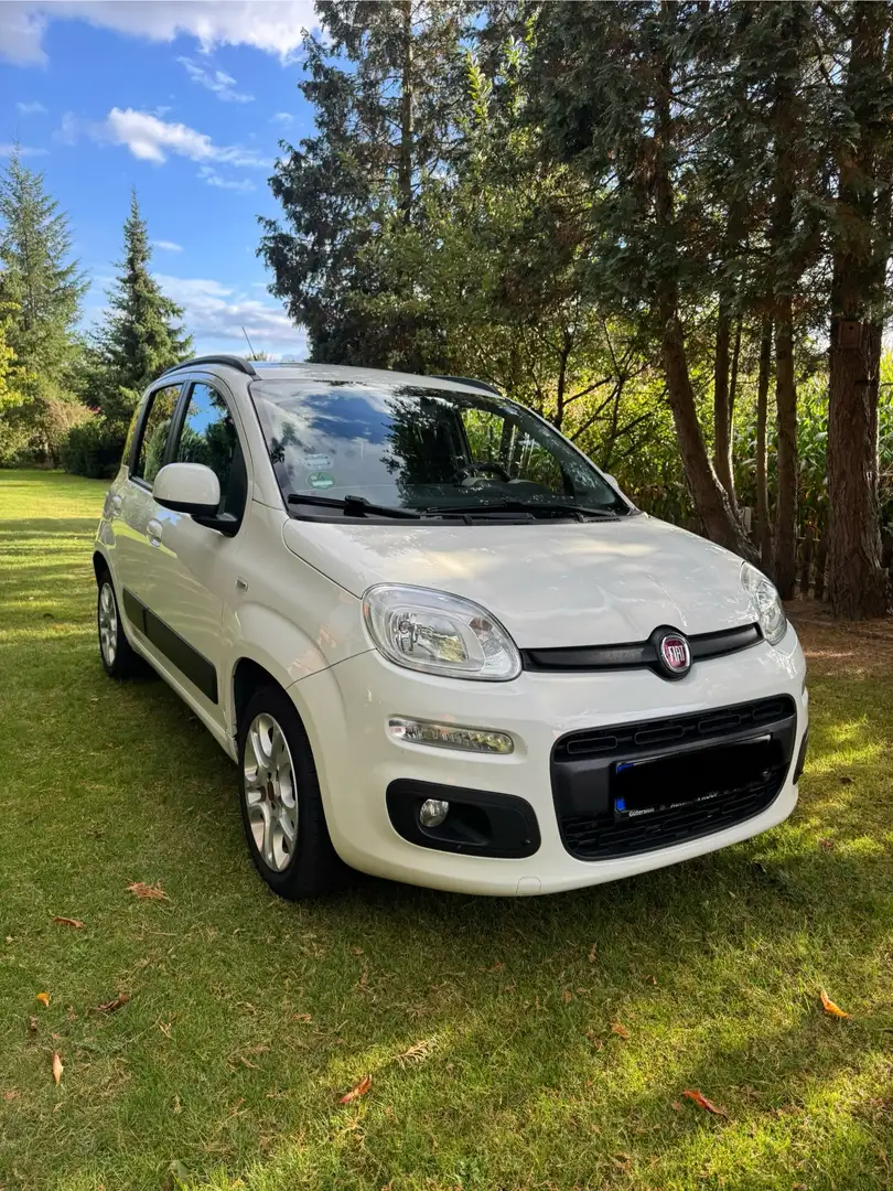 Fiat Panda Scheckheft, Diesel, Top gepflegt, AHK Weiß - 2