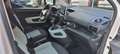 Citroen Berlingo BlueHDi S&S Talla XL Feel Pack 130 Blanco - thumbnail 5