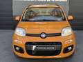 Fiat Panda 1.2 Pop Arancione - thumbnail 6