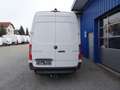 Mercedes-Benz Sprinter 317 CDI Kasten L2H2 / AHK 3500 KG Weiß - thumbnail 9