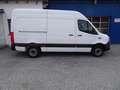 Mercedes-Benz Sprinter 317 CDI Kasten L2H2 / AHK 3500 KG Weiß - thumbnail 4