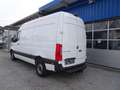 Mercedes-Benz Sprinter 317 CDI Kasten L2H2 / AHK 3500 KG Weiß - thumbnail 7