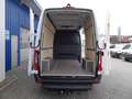 Mercedes-Benz Sprinter 317 CDI Kasten L2H2 / AHK 3500 KG Weiß - thumbnail 17