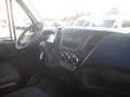 Iveco Daily 35c15 doppia cabina cassone fisso Blanc - thumbnail 8