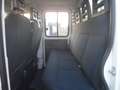 Iveco Daily 35c15 doppia cabina cassone fisso Blanc - thumbnail 9