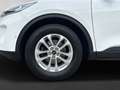 Ford Kuga Titanium 2x4 White - thumbnail 7