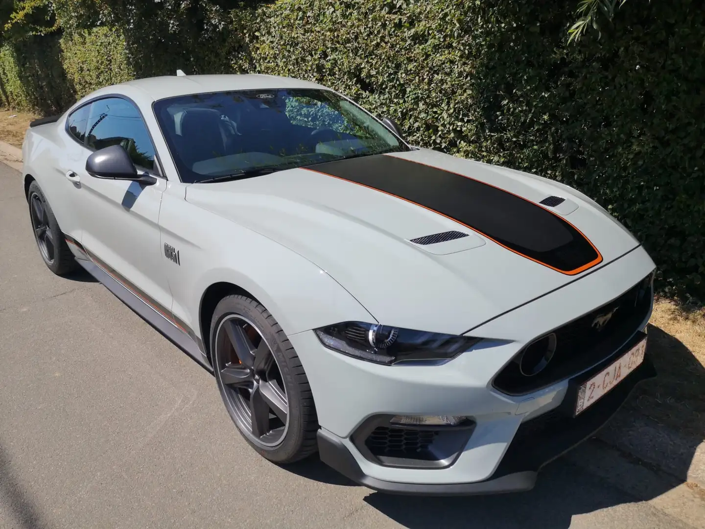 Ford Mustang Mustang 5.0 Ti-VCT V8 GT Mach 1 (EU6d) Gris - 2