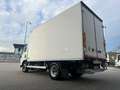 Isuzu NPR P60C15Frigo-20°C FRCX06 27 4150x2050x2000kg2280 Blanc - thumbnail 7