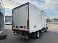 Isuzu NPR P60C15Frigo-20°C FRCX06 27 4150x2050x2000kg2280 Blanc - thumbnail 5