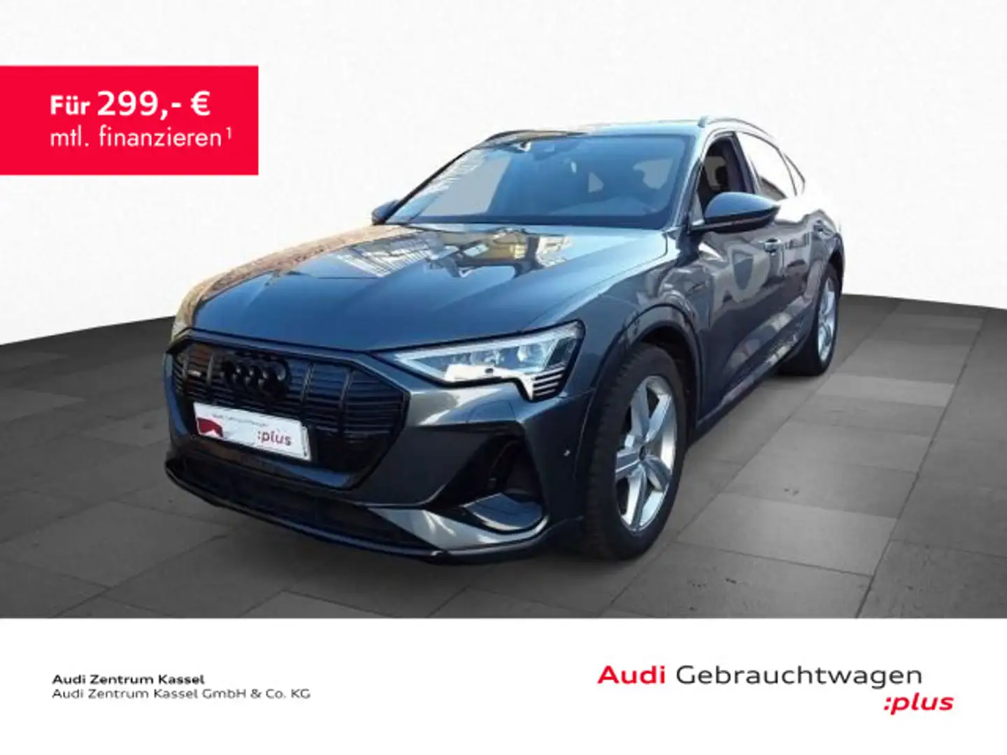 Audi e-tron 55 qu. S line Leder LED Navi Matrix St.Hz Grau - 1
