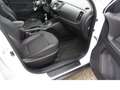 Kia Sportage Spirit 2WD Navi AHK Alu WR Weiß - thumbnail 10