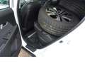 Kia Sportage Spirit 2WD Navi AHK Alu WR Weiß - thumbnail 31