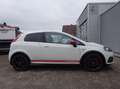 Abarth Grande Punto ABARTH PUNTO 16V Turbo NUR 56.000KM SAMMLER Weiß - thumbnail 4