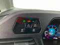 Volkswagen Caddy Family TDI Grau - thumbnail 19
