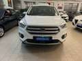 Ford Kuga Kuga 2.0 TDCI 120 CV S&S 2WD Powershift Business Bianco - thumbnail 6