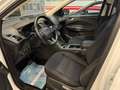 Ford Kuga Kuga 2.0 TDCI 120 CV S&S 2WD Powershift Business Bianco - thumbnail 7