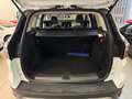 Ford Kuga Kuga 2.0 TDCI 120 CV S&S 2WD Powershift Business Bianco - thumbnail 10