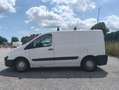 Citroen Jumpy Bianco - thumbnail 5