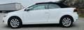 Volkswagen Golf Cabriolet Basis BMT*1.2TSI*Kette Neu*Insp.Neu*Hu-Neu* Weiß - thumbnail 2