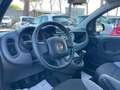 Fiat New Panda 1.0cc HYBRID 70cv GSE Grigio - thumbnail 9