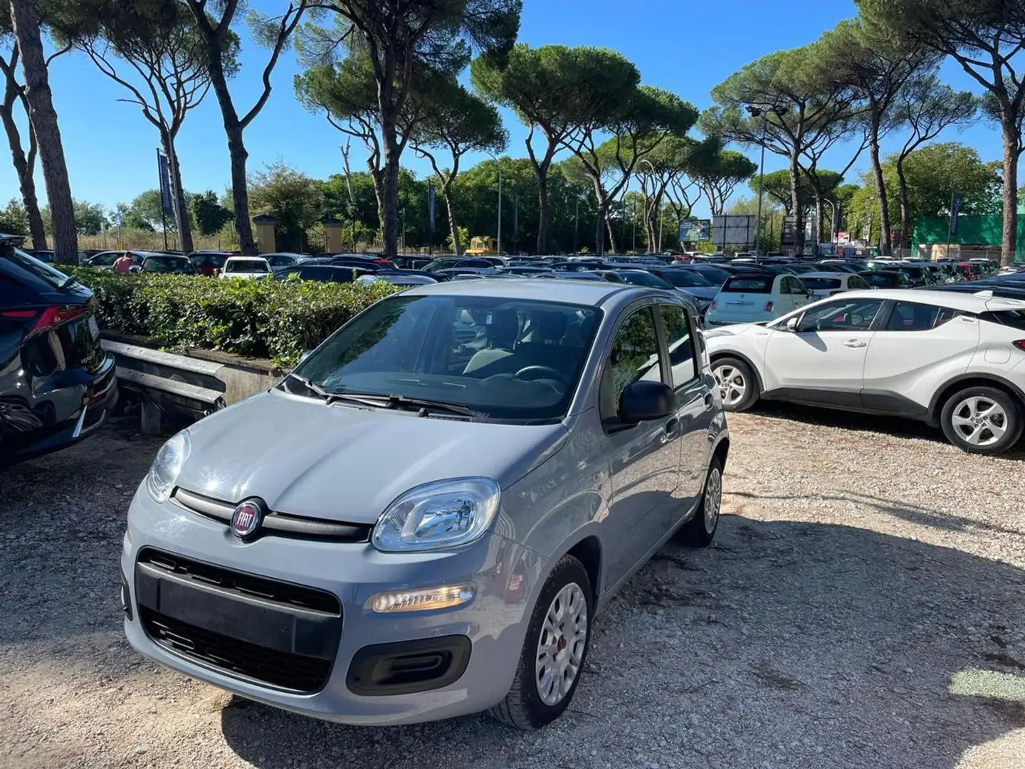 Fiat New Panda 1.0cc HYBRID 70cv GSE Grigio - 1