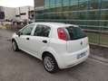Fiat Punto Evo 1.4 CLIMA OK NEOPATENTATI € 103 MESE Bianco - thumbnail 6