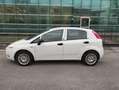 Fiat Punto Evo 1.4 CLIMA OK NEOPATENTATI € 103 MESE Bianco - thumbnail 5