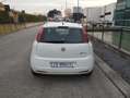 Fiat Punto Evo 1.4 CLIMA OK NEOPATENTATI € 103 MESE Bianco - thumbnail 8