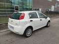 Fiat Punto Evo 1.4 CLIMA OK NEOPATENTATI € 103 MESE Bianco - thumbnail 7