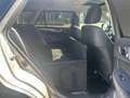 Subaru OUTBACK 2.0 D Premium CVT - Lichte vracht Beige - thumbnail 14