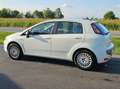 Fiat Punto GPL Bianco - thumbnail 4
